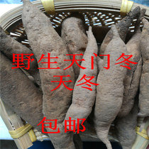 Wild fresh asparagus nourishing yin moistening dryness raw fluid traditional Chinese medicine now digging fresh asparagus now digging