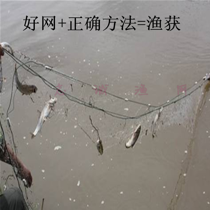 白丝8米10米15米高渔网粘网大浮漂沉网浮网三层鱼网水库捕鱼挂网_7折