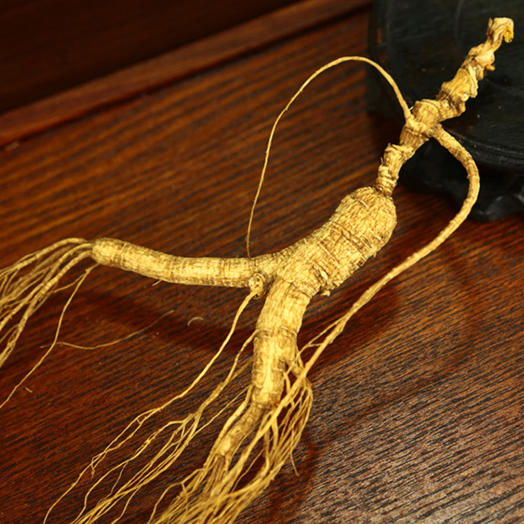 官网正品紫云参 野生 同仁堂 紫云参正品包邮 长白山