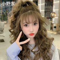 Wig female air bangs wool roll long hair net red real hair full headgear stuffy cyan large wavy long curly hair