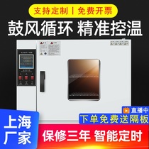 Electric constant temperature blast small oven Industrial laboratory drying oven Dryer Aging test chamber Headlight oven