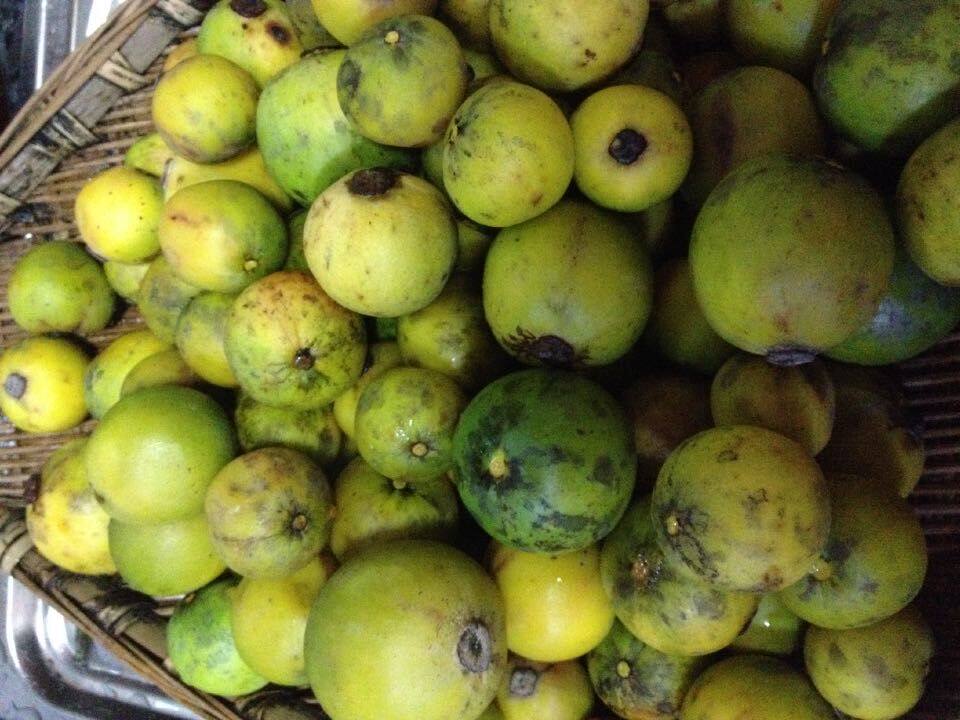 蜂蜜野生山竹酵素原液500毫升 山枇杷酵素原液 野生果子酵素