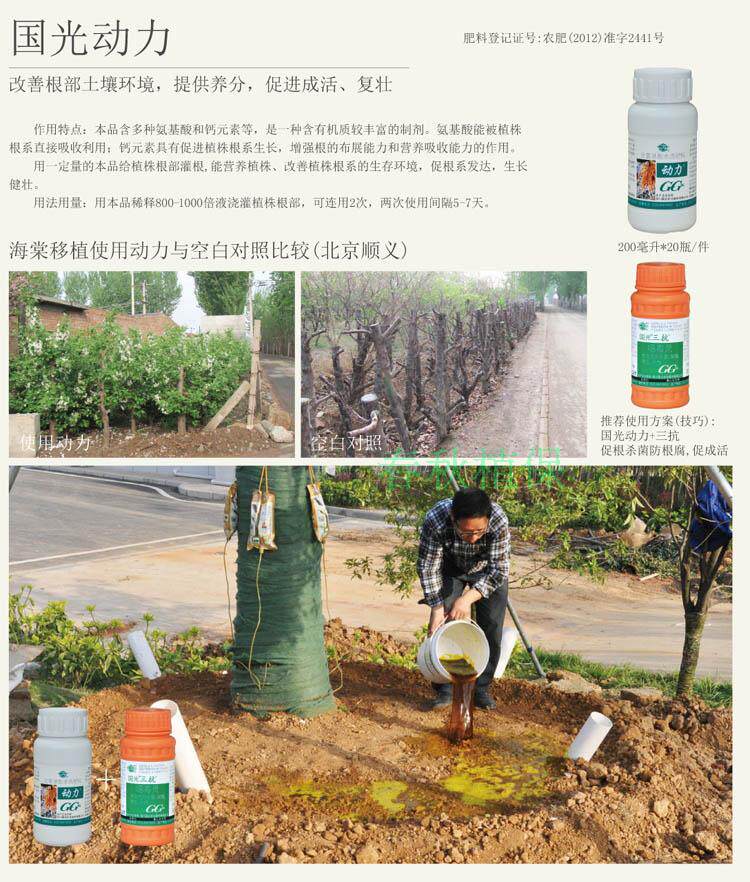 生根液移栽生根剂国光根动力2号促进生根大树复壮提高成活新包装
