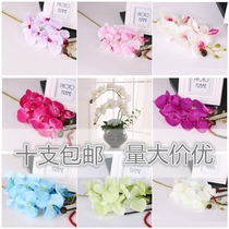 White Phalaenopsis simulation flower single Phalaenopsis plastic flower living room high-grade silk cloth flower landing wedding