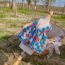 Spring Summer Pet Law Style Crummy Dress Dress Lace Oil Painting Kitty Dress Teddy Bibi Bear Dog Sunscreen Clothes