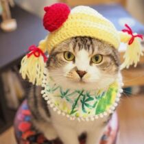 Pets Change Fit Cat Braids Hat Adorable Pooch Dog Headgear New Year Christmas Decorations Head Accessories