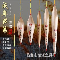 Reed Drift Extreme Project Chen Year Reed Floating Carp Floating Carp Mixed And Raised Sensitive Fish Float Buoy Fishing Gear