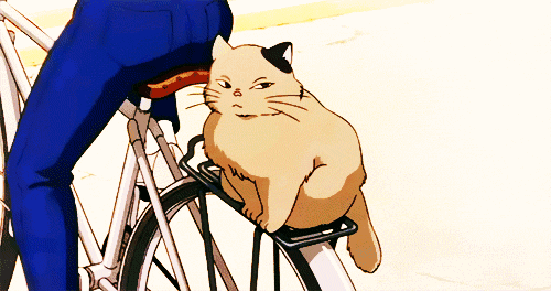 "心机"抢戏配角,只服宫崎骏电影的小萌物 - 天猫精选