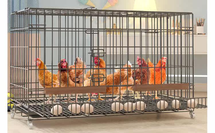 饮水器蛋托组装超大商用蛋鸡镂空鸭笼子养殖用养殖家用大号中型
