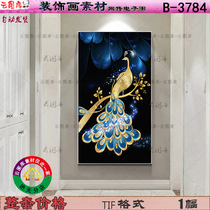 Modern luxury gold jewelry peacock light luxury abstract decorative painting material porch Peacock Pictures