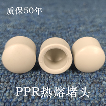 PPR plug hot melt water pipe plug cap accessories pipe cap plug 20 25 4 points 6 points Sichuan brand Road