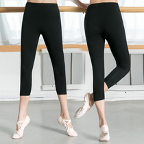 Dance three-point pants Practice pants Adult female modern dance tight dance stretch pants Nine-point pants Slim ballet pants