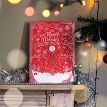 British Dyami ink 2021 Christmas limited set gift box ink