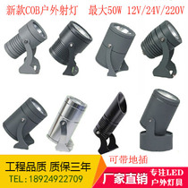 COB Outdoor Spotlight Led in Rain Rain Water-proof Lawn Terrace Lamp MONOCHROME SEVEN COLORFUL EXTERIOR WALL PROJECTION LAMP NEW