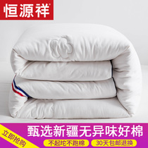 Hengyuanxiang pure cotton quilt winter quilt cotton quilt core thickened warm cotton quilt pad quilt spring quilt