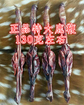 Jilin Sika Deer deer whip dry whole root deer whip fresh deer whip whole deer field direct supply nourishing sparkling wine materials