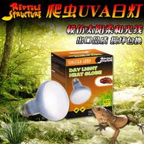 Climbing structure pet ReptileStructure reptile lizard land turtle box UVA spotlight bulb