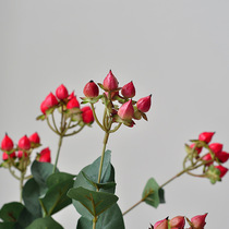 Simulation flower fire dragon ball flower arrangement accessories Simulation hypericum fruit hand bouquet with flowers Fake flower Wedding decoration flower material
