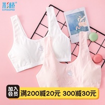 Girls underwear Small vest development bra Student cotton girl bandeau Child female big child bra 9-12 years old
