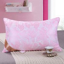 A pair of pillow core