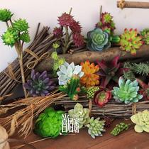 (Xiju) Multi-color simulation succulent plant fake green green indoor living room decoration plastic flower head