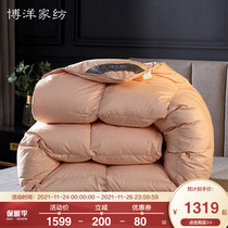 Boyang duvet 95 white goose down winter quilt thickened warm quilt core anti-drill duck down winter cotton goose down quilt