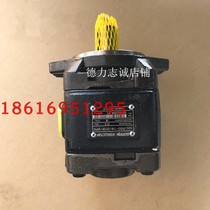 American SUNNY gear oil pump HG0-16-01R-VPC bending machine shearing machine injection molding machine high pressure oil pump