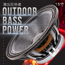 Super Low Frequency 15 Inch Professional Speaker 1000W High-power Wedding 220 Magnetic 100 Core Performance Bass Horn