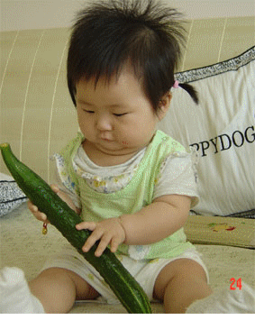 自产黄瓜500g 无农药,无化肥驴家生态自然种植