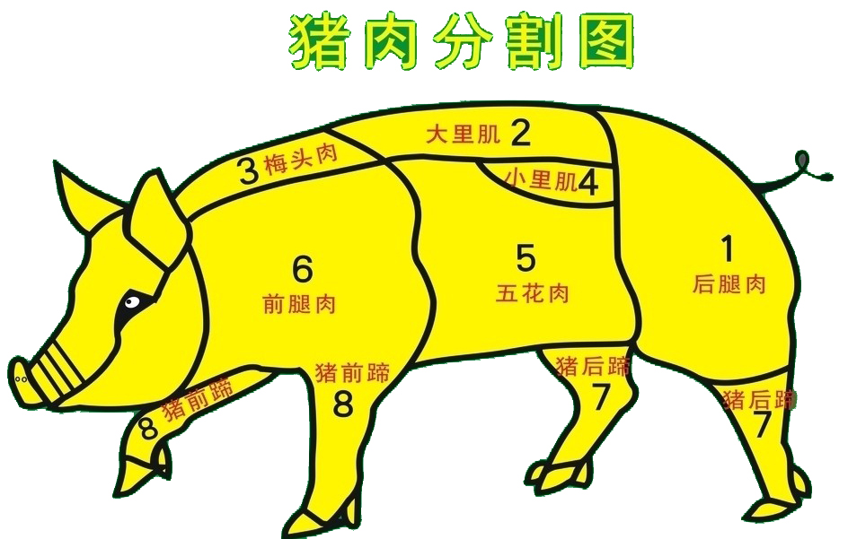 猪前腿肉后腿肉区分图图片