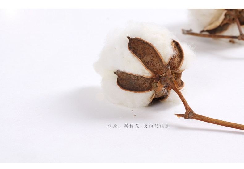 棉花堂旗舰店_cottontown/棉花堂品牌产品详情图