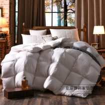 Exit North American Hilton Five Star Hotel Down Quilt 95 Thickened White Goose Down Quilt Winter Quilt Core Spring Autumn Quilt