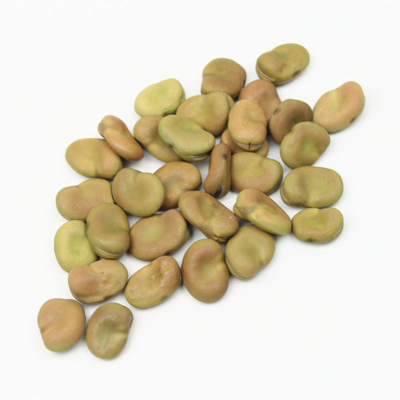 干蚕豆生蚕豆新蚕豆2500g胡豆农家新货新鲜五谷杂粮可发豆芽包邮