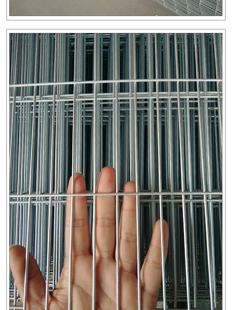 镀锌网片小孔鸟笼专用网格片铁丝网养殖围栏隔离网加粗家用安全防