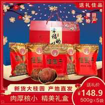 Fujian Putian specialty dried longan dried longan gift box with shell non-seedless longan dried meat 500g*5 bags