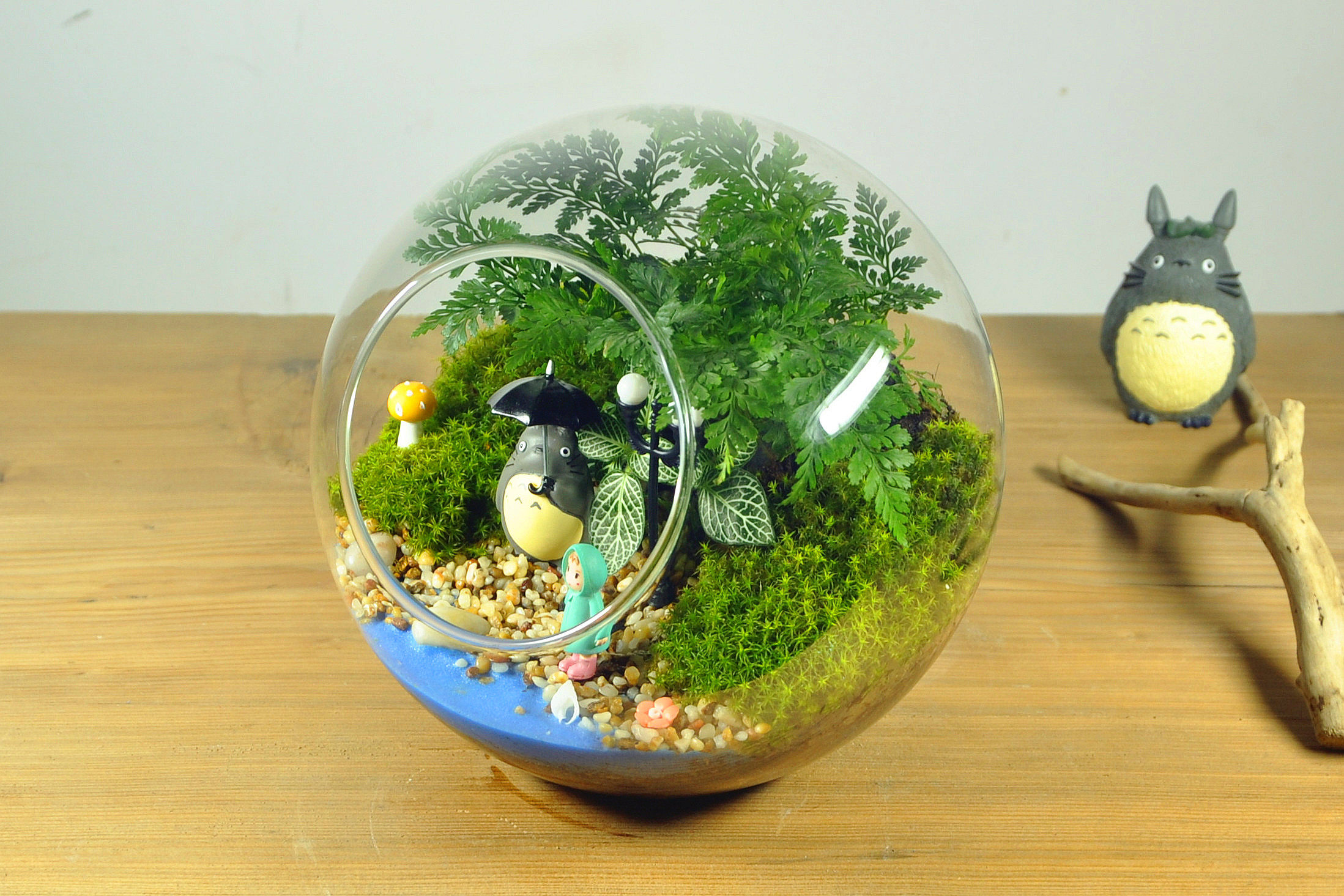 苔藓微景观生态瓶奇趣绿植创意办公室迷你植物diy龙猫盆栽