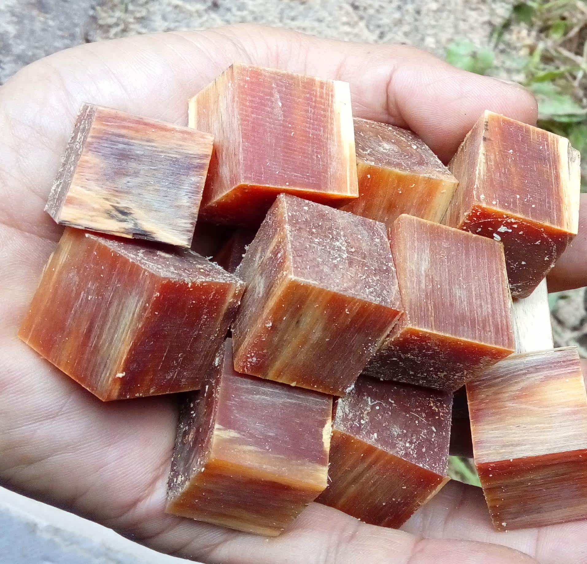 长白山明子木料松明子弹弓料明子弹弓料北沉香红松明子镇纸料