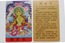 The knot product PVC Green mother carry the card