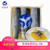 High - grade fish seeds Yanki sushi herring seeds Shiling fish Shikushi (yellow) 6 850g