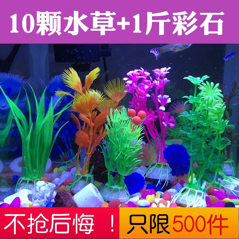 小鱼缸彩石造景仿真水草摆件水族箱乌龟缸装饰水草套餐假塑料水草 Изображение 1 小鱼缸彩石造景仿真水草摆件水族箱乌龟缸装饰水草套餐假塑料水草 Изображение 1