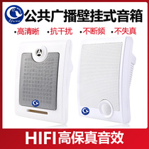 Classroom wall-mounted speaker Shop mall supermarket wall-mounted speaker audio background music School park broadcast system