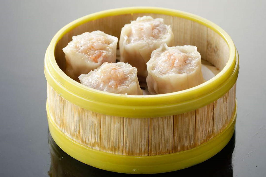 穿着百褶裙的可爱鲜肉烧麦