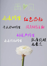 Ogawa order scar patch hyperplasia scar red bulge surgery scar postpartum Japanese scar paste 5