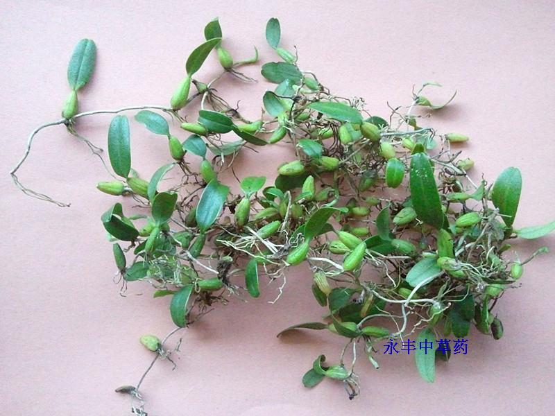 永丰本地野生草药 石橄榄 单叶岩珠 石豆兰 一斤30图片