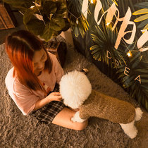 Little Dog Clothes Womens Sweater Weaving Teddy Biga Chihuahua Bomei Bear Small Puppies Pet Winter Clothes