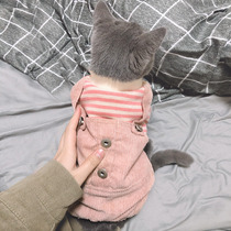 Cat clothes Cute pet kittens small milk cats British short American short small milk cats warm and thick autumn and winter clothes