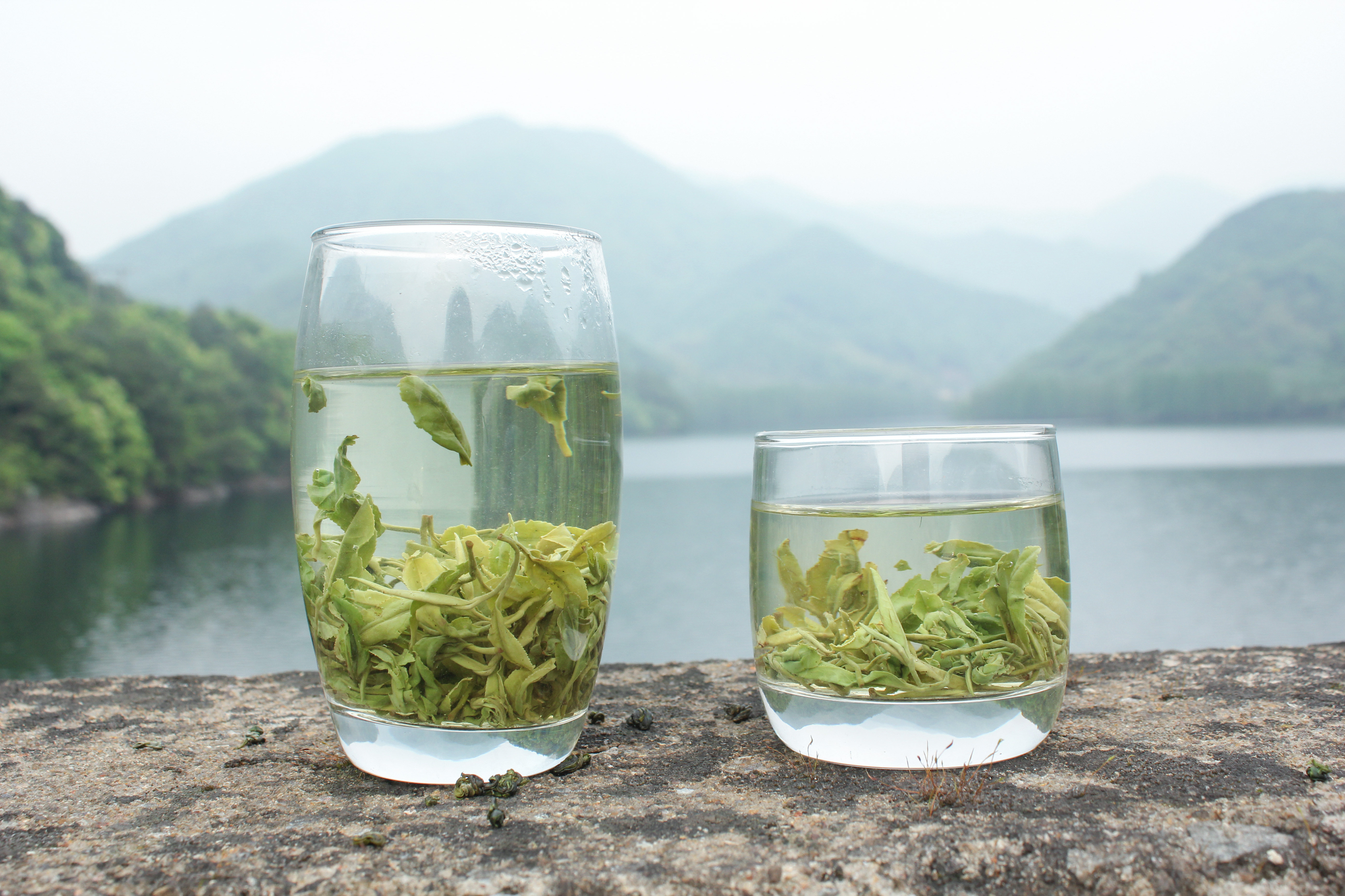 2017浙江上虞翠茗茶明前炒青 绿茶茶叶 高山云雾绍兴特产礼盒250g