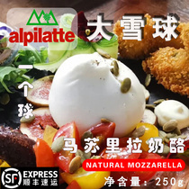 Platinum Zale Masurra Cheese Refrigerated Heavy Snow Balls Cheese Mozzarella Cheese Balls Cold Pan Cheese Ready-to-eat
