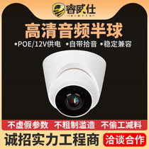 Ruiweishi hemispherical network digital camera audio wide-angle night vision HD 3 million infrared full color monitor