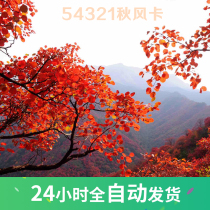 54321 Autumn Wind Card(2T)